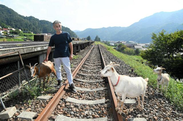 旧駅の急斜面、放牧ヤギが除草　廃線跡地の維持管理、担い手は…